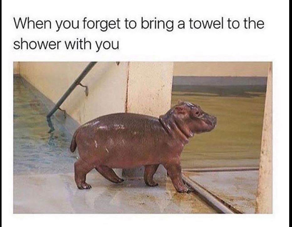you forget your towel - When you forget to bring a towel to the shower with you