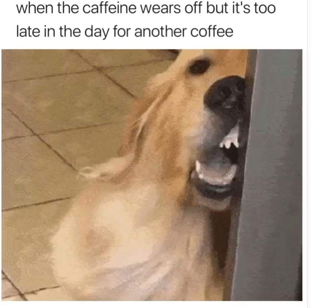 caffeine wears off - when the caffeine wears off but it's too late in the day for another coffee