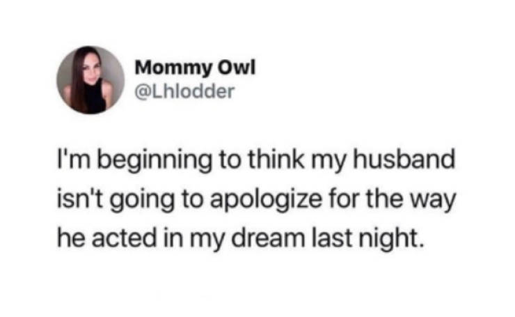 Meme - Mommy Owl I'm beginning to think my husband isn't going to apologize for the way he acted in my dream last night.