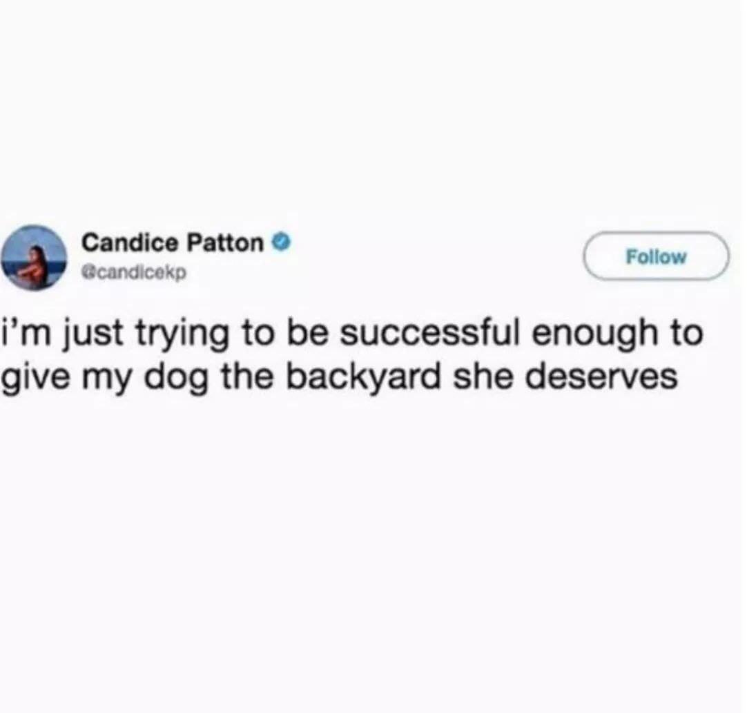 not the key to happiness - Candice Patton i'm just trying to be successful enough to give my dog the backyard she deserves