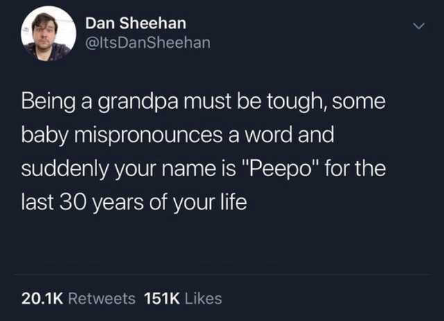 Twenty One Pilots - Dan Sheehan DanSheehan Being a grandpa must be tough, some baby mispronounces a word and suddenly your name is "Peepo" for the last 30 years of your life 1516