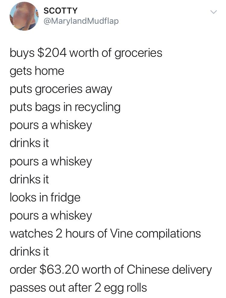 document - Scotty Mudflap buys $204 worth of groceries gets home puts groceries away puts bags in recycling pours a whiskey drinks it pours a whiskey drinks it looks in fridge pours a whiskey watches 2 hours of Vine compilations drinks it order $63.20 wor