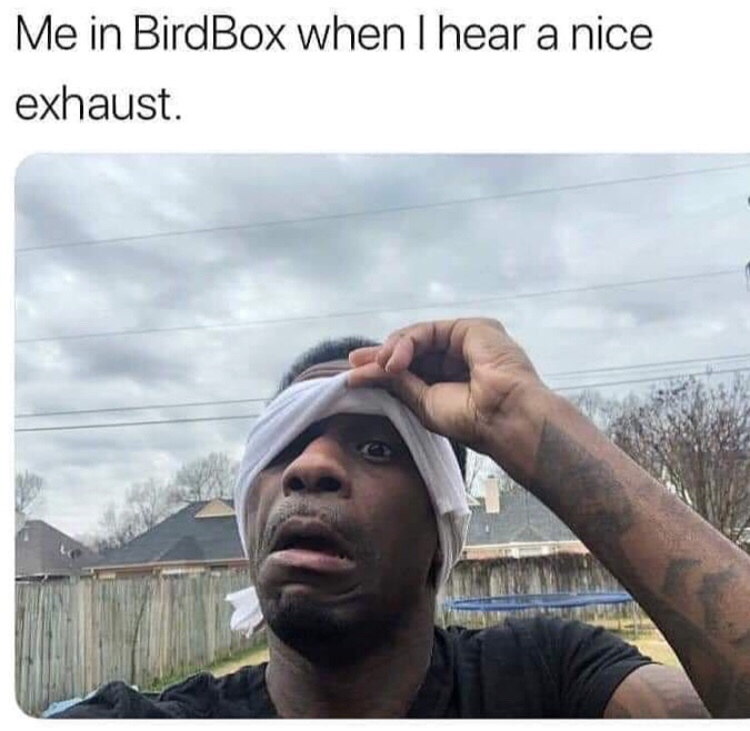 bird box meme my dumb ass - Me in BirdBox when I hear a nice exhaust.