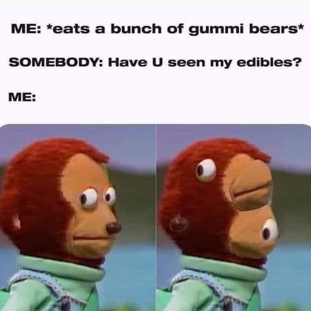 monkey puppet meme - Me eats a bunch of gummi bears Somebody Have U seen my edibles? Me