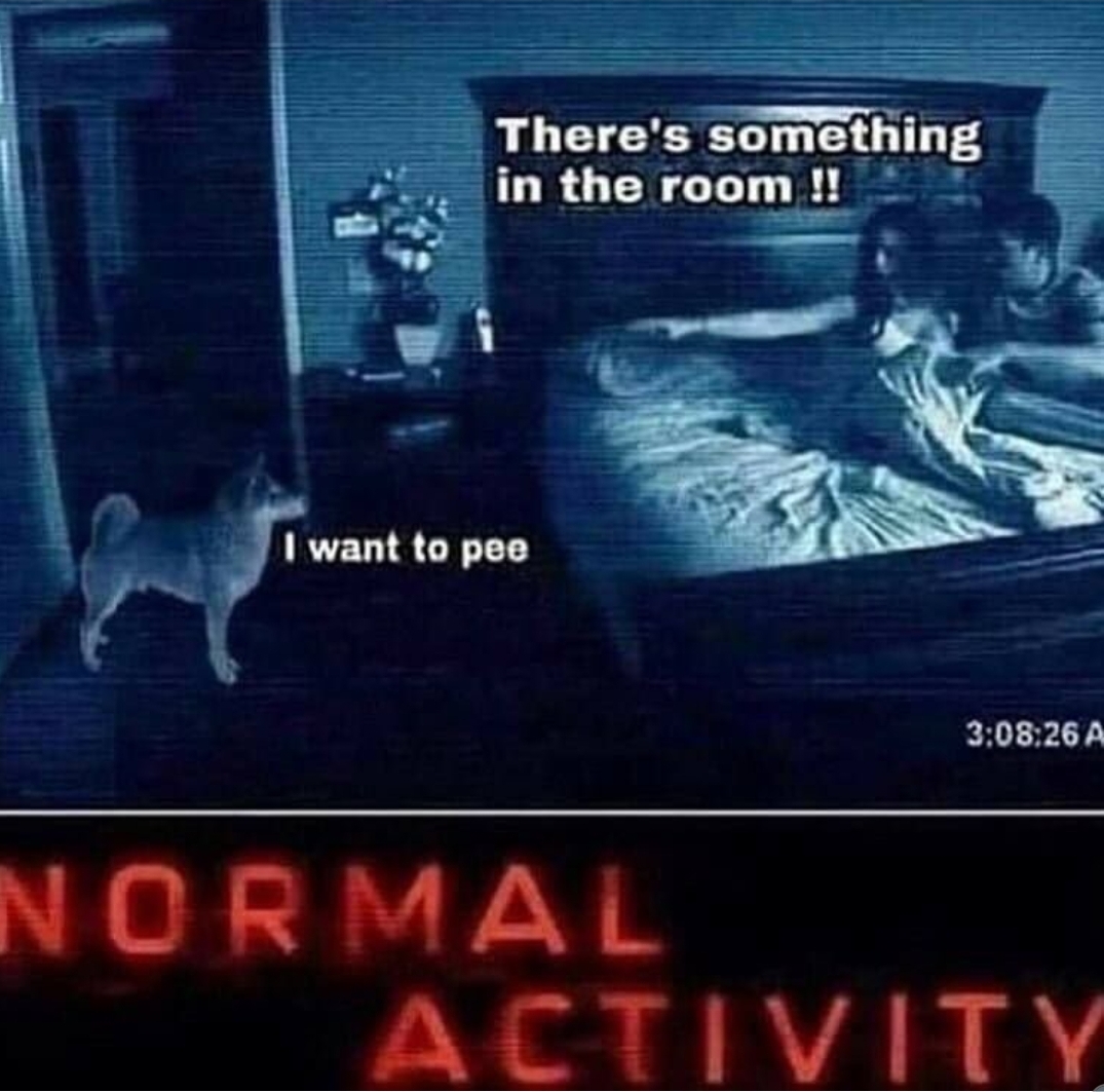 normal activity meme - There's something in the room !! I want to pee 26 A Normal Activity