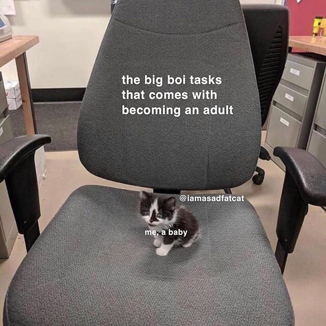 the big boi tasks that comes with becoming an adult me, a baby