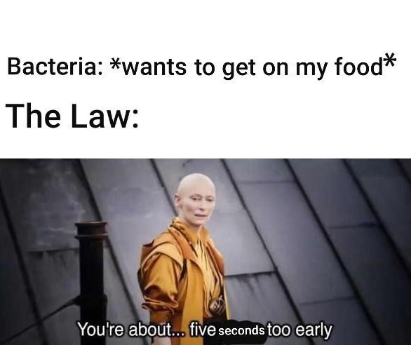 endgame ancient one meme - Bacteria wants to get on my food The Law You're about... five seconds too early