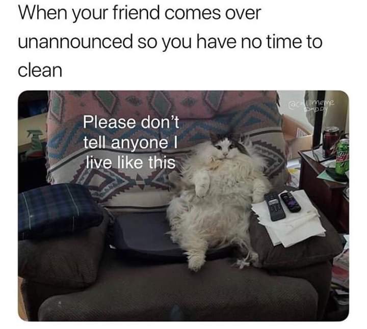 please dont tell anyone i live like - When your friend comes over unannounced so you have no time to clean Please don't tell anyone live this