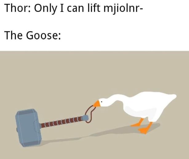 beak - Thor Only I can lift mjiolnr The Goose