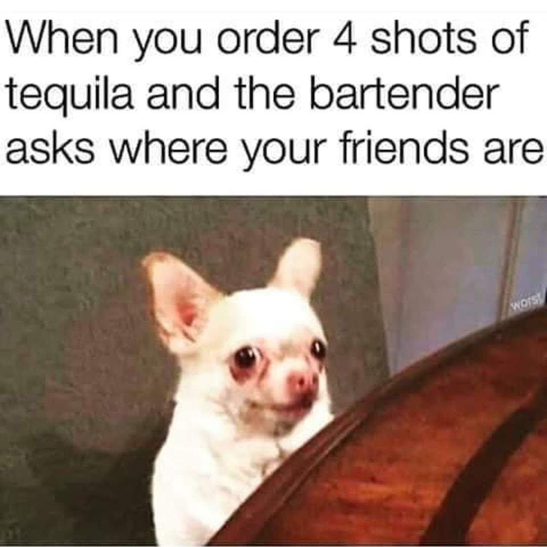 tequila shots meme - When you order 4 shots of tequila and the bartender asks where your friends are