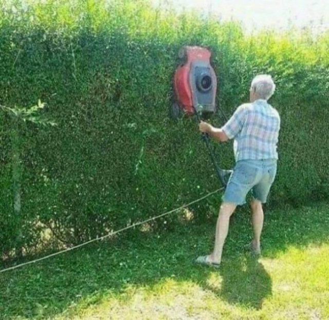trimming bushes with lawn mower