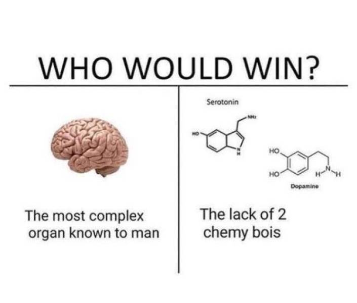 lack of 2 chemy bois - Who Would Win? Serotonin Dopamine The most complex organ known to man The lack of 2 chemy bois