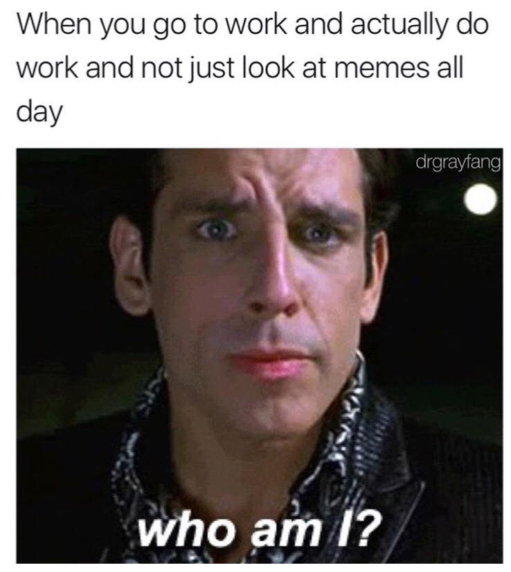 zoolander who am i gif - When you go to work and actually do work and not just look at memes all day drgrayfang who am I?