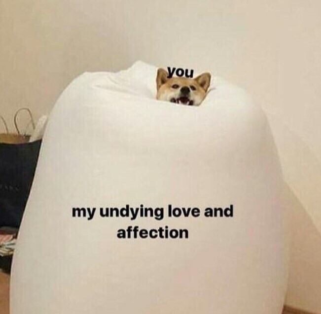 drowning in love meme - you my undying love and affection