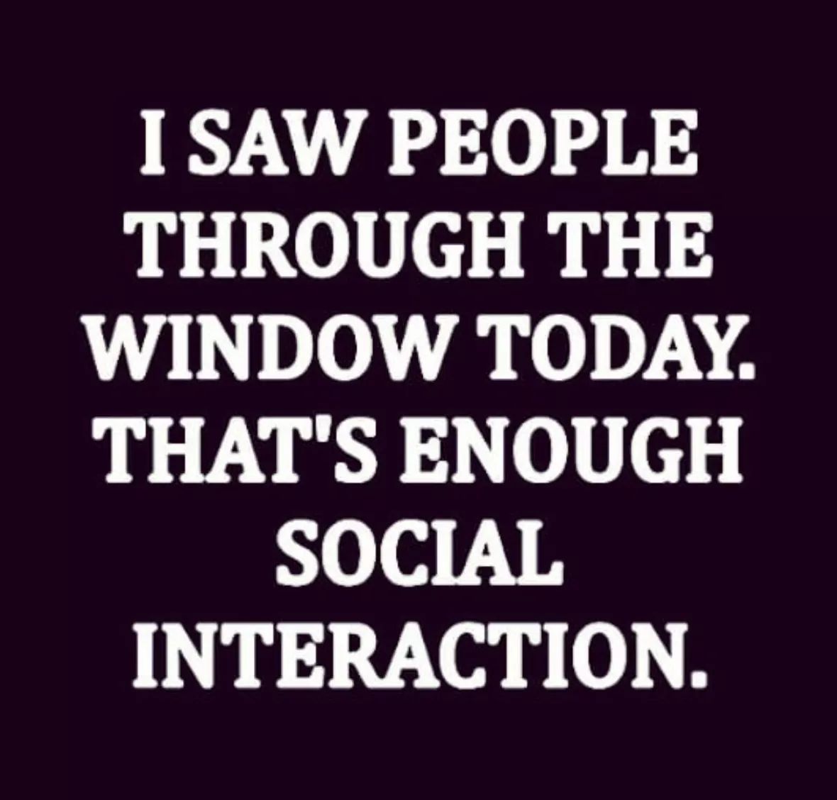 I Saw People Through The Window Today. That'S Enough Social Interaction.