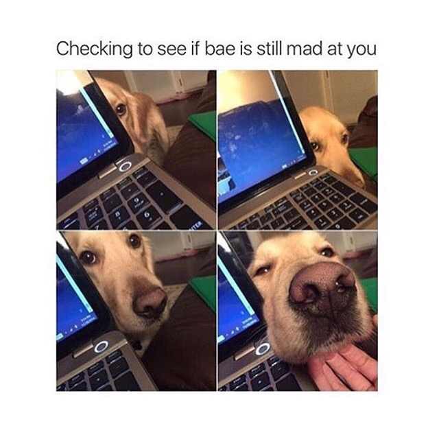 you want attention from bae - Checking to see if bae is still mad at you