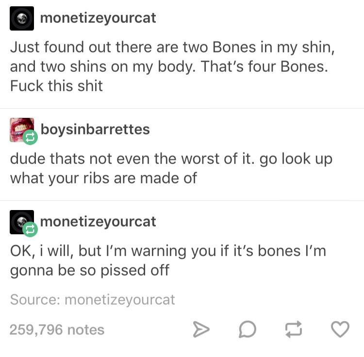 shin bones - monetizeyourcat Just found out there are two Bones in my shin, and two shins on my body. That's four Bones. Fuck this shit boysinbarrettes dude thats not even the worst of it. go look up what your ribs are made of monetizeyourcat Ok, i will, 