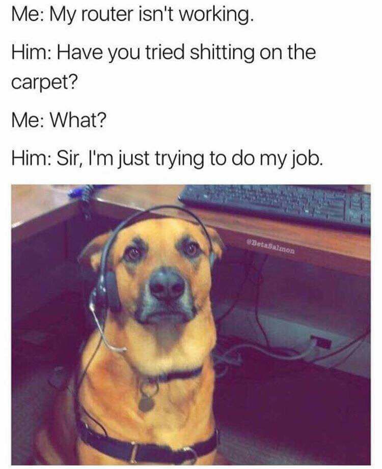dog it support meme - Me My router isn't working. Him Have you tried shitting on the carpet? Me What? Him Sir, I'm just trying to do my job. BetaSalmon