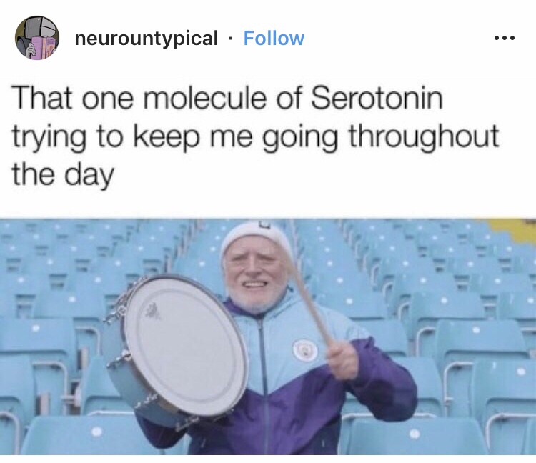 therapy meme - one molecule of serotonin - neurountypical That one molecule of Serotonin trying to keep me going throughout the day
