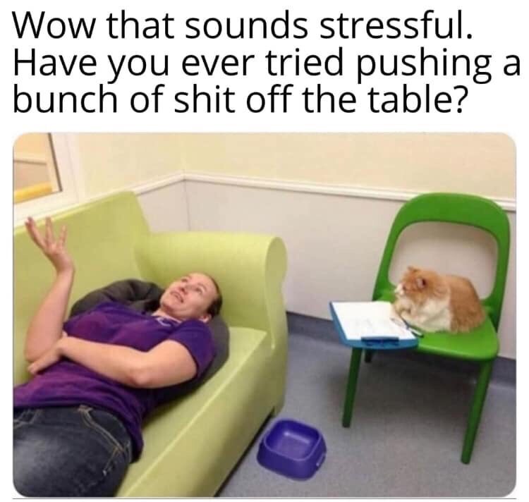 therapy meme - have you tried pushing things off the table - Wow that sounds stressful. Have you ever tried pushing a bunch of shit off the table?