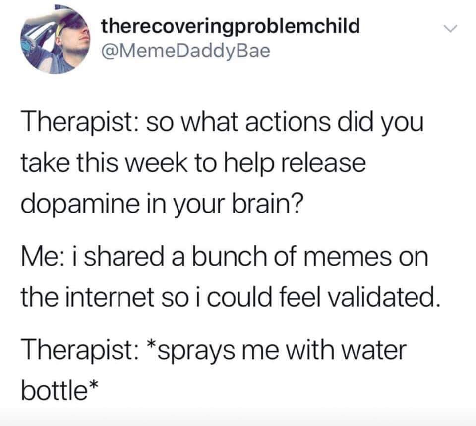 therapy meme - therapist spraying me with water - therecoveringproblemchild Therapist so what actions did you take this week to help release dopamine in your brain? Me i d a bunch of memes on the internet so i could feel validated. Therapist sprays me wit
