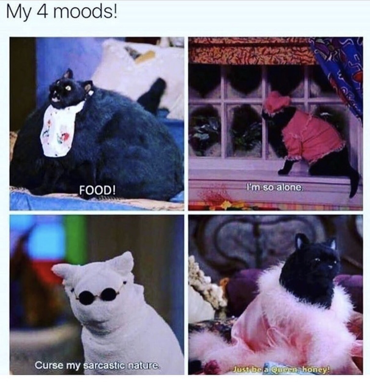 my 4 moods salem - My 4 moods! Food! I'm so alone. Curse my sarcastic nature Just be on war, honey!