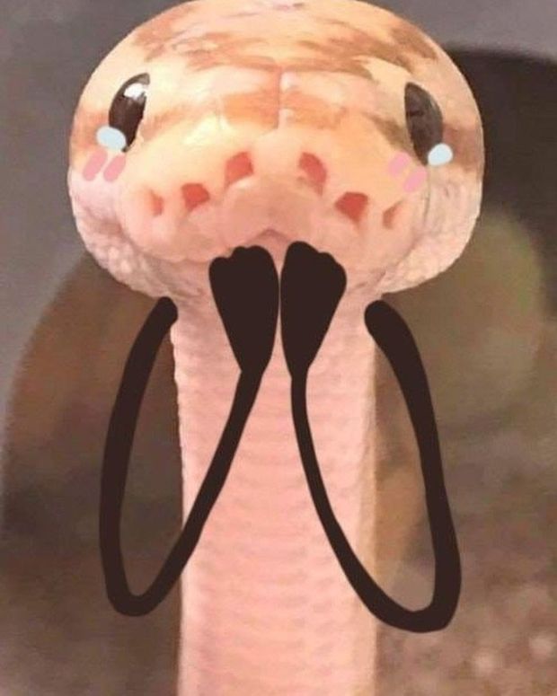 snakes with arms