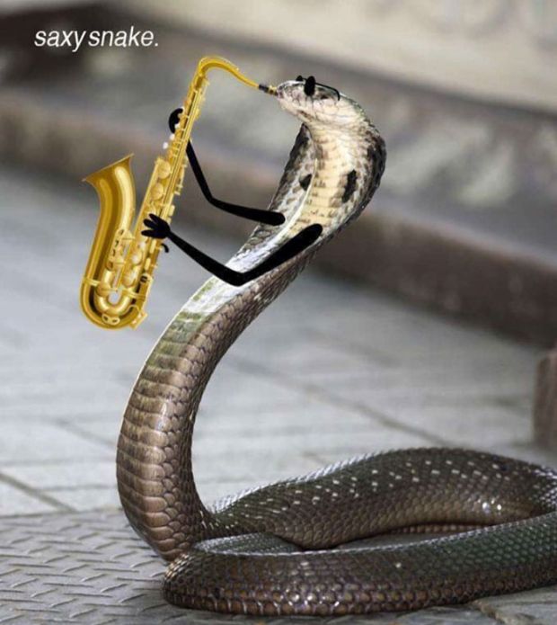 snakes with arms - saxy snake.
