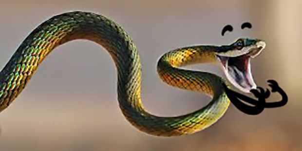 snake pouncing