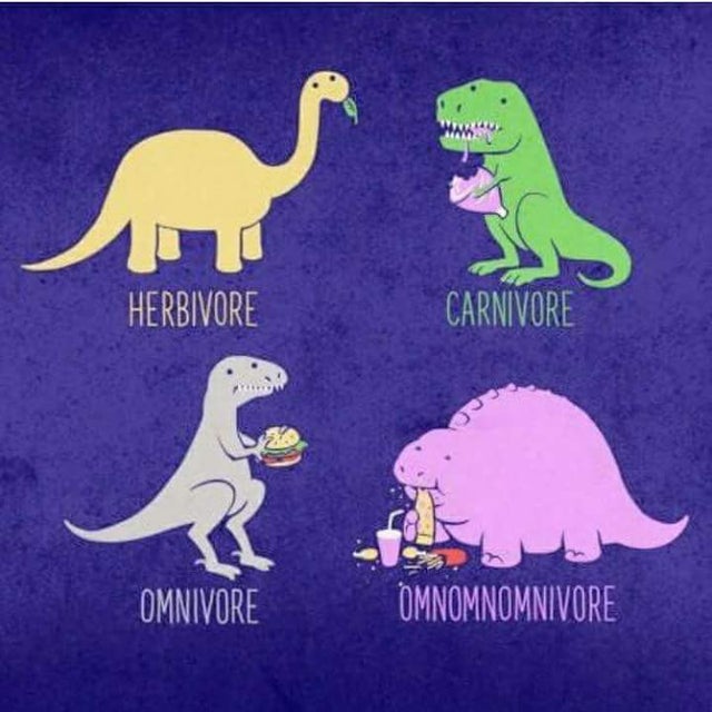 funny dinosaur - Herbivore Carnivore Omnivore Omnomnomnivore