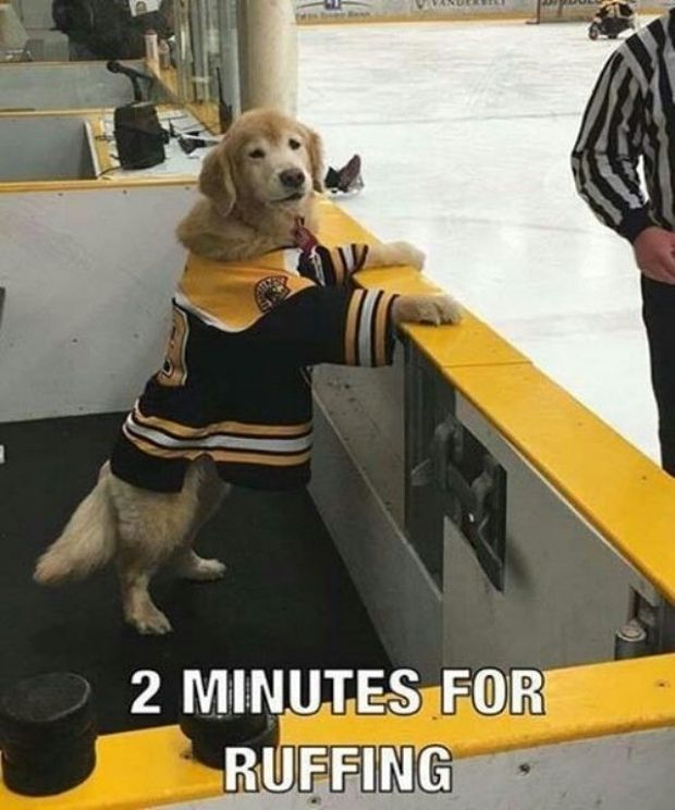 2 minutes for ruffing - Danubili U2 Minutes For Ruffing