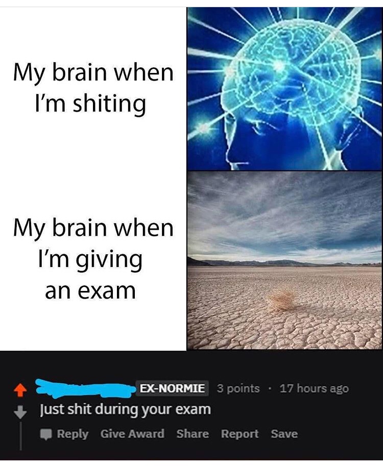 yup this is big brain time - My brain when I'm shiting My brain when I'm giving an exam ExNormie 3 points 17 hours ago Just shit during your exam Give Award Report Save