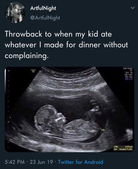 funny twitter posts - ArtfulNight Throwback to when my kid ate whatever I made for dinner without complaining. Hary Cem Crl ES1cm Ga 12wd 71.8% 23 Jun 19. Twitter for Android