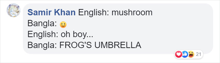 diagram - Samir Khan English mushroom Bangla English oh boy... Bangla Frog'S Umbrella Od 21