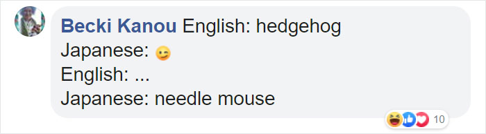 diagram - Becki Kanou English hedgehog Japanese English ... Japanese needle mouse D10