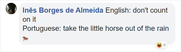 organization - Ins Borges de Almeida English don't count on it Portuguese take the little horse out of the rain