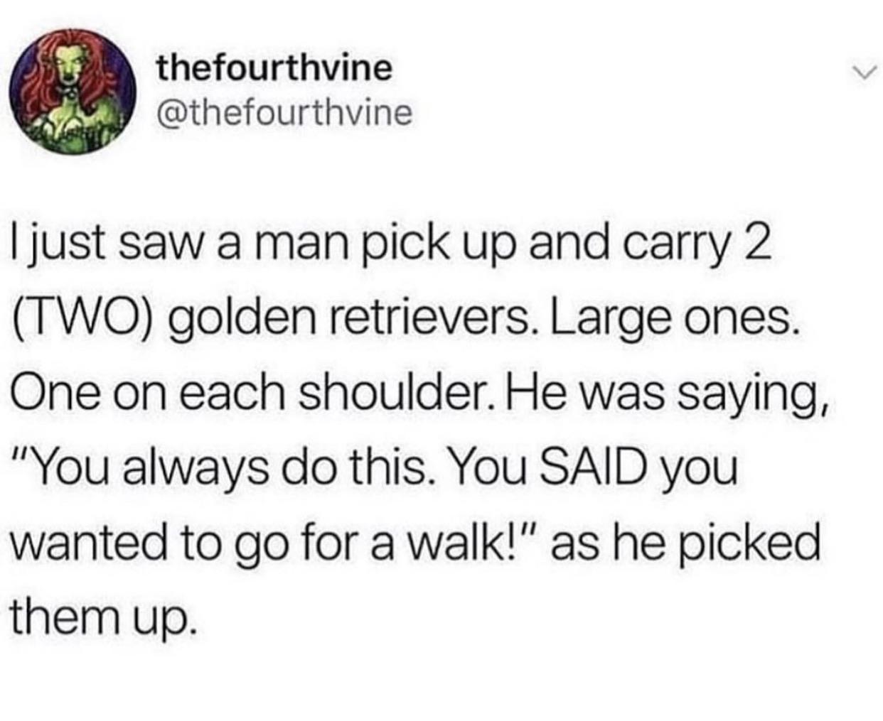 asking for a favor meme - thefourthvine I just saw a man pick up and carry 2 Two golden retrievers. Large ones. One on each shoulder. He was saying, "You always do this. You Said you wanted to go for a walk!" as he picked them up.