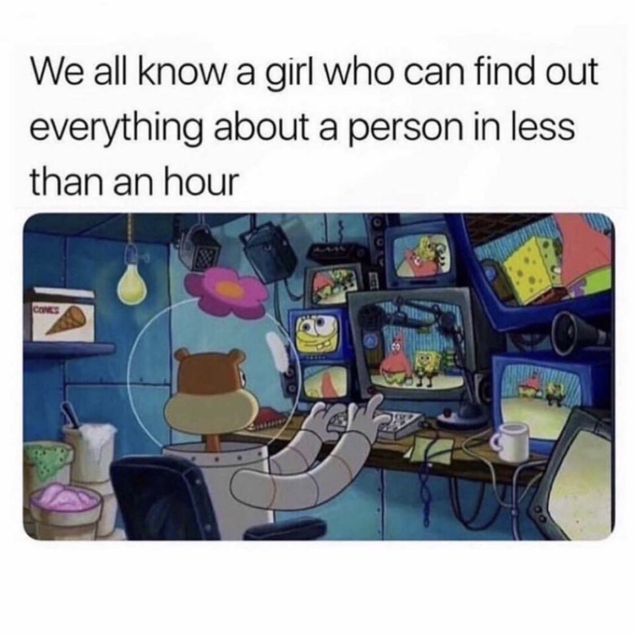 spongebob relatable memes - We all know a girl who can find out everything about a person in less than an hour