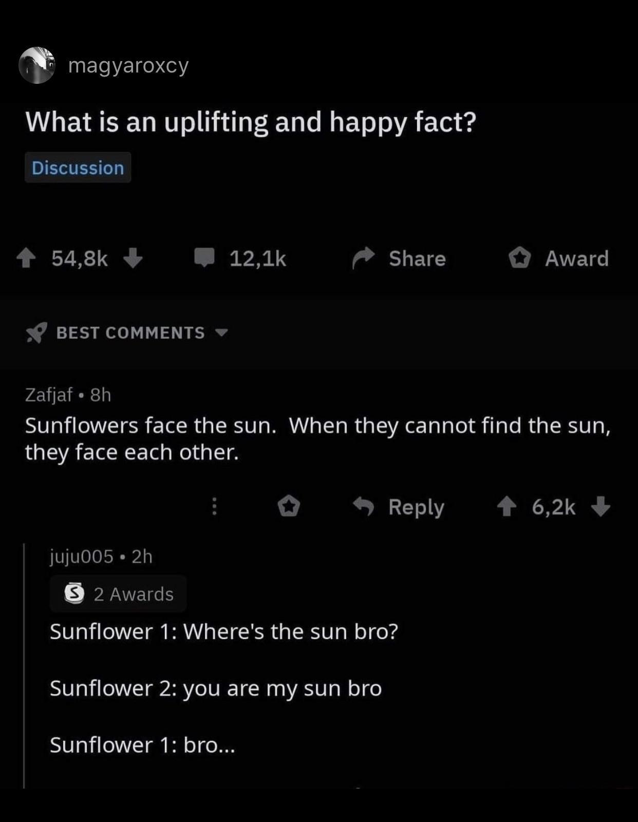 screenshot - magyaroxcy What is an uplifting and happy fact? Discussion 54,8% Award S Best Zafjaf. 8h Sunflowers face the sun. When they cannot find the sun, they face each other. juju005 2h 2 Awards Sunflower 1 Where's the sun bro? Sunflower 2 you are my