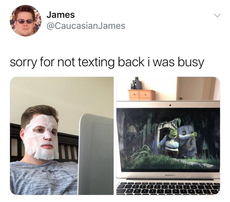 memes about not texting back - James James sorry for not texting back i was busy