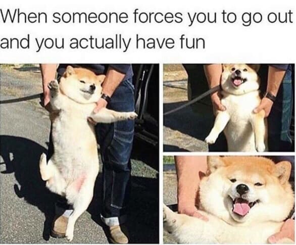 you are forced to go out - When someone forces you to go out and you actually have fun