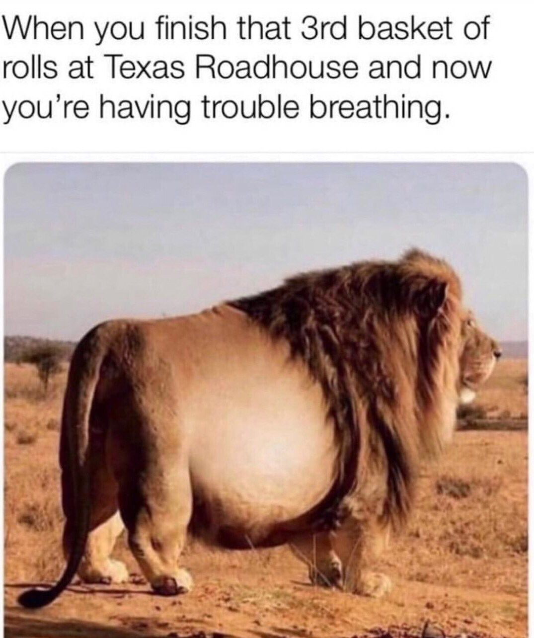 texas roadhouse meme - When you finish that 3rd basket of rolls at Texas Roadhouse and now you're having trouble breathing.