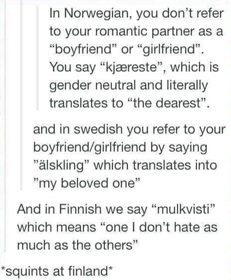handwriting - In Norwegian, you don't refer to your romantic partner as a "boyfriend" or "girlfriend". You say "kjreste", which is gender neutral and literally translates to "the dearest". and in swedish you refer to your boyfriendgirlfriend by saying "ls