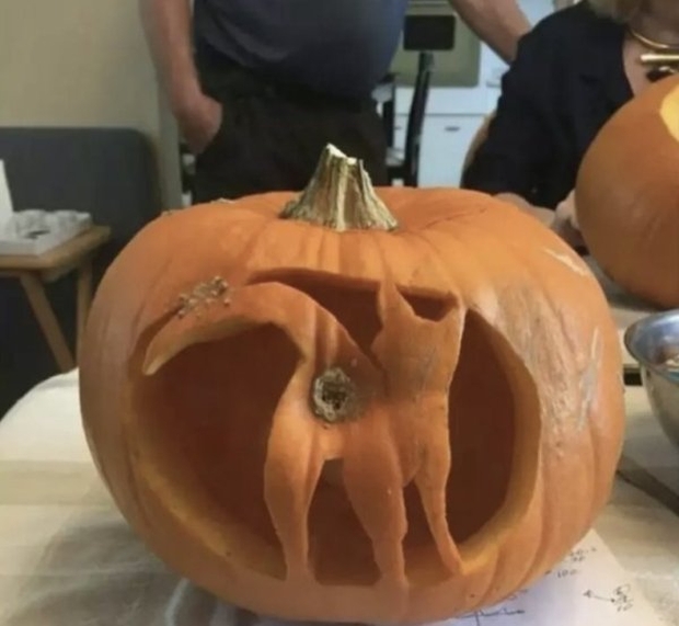 Halloween - cat butt jack o lantern