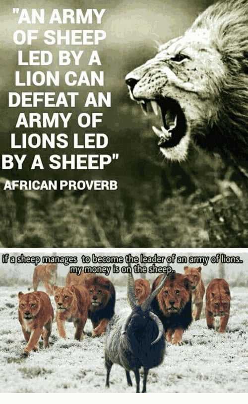 army of lions led by a sheep - "An Army Of Sheep Led By A Lion Can Defeat An Army Of Lions Led By A Sheep" African Proverb if a sheep manages to become the leader of an army of lions. my money is on the sheep