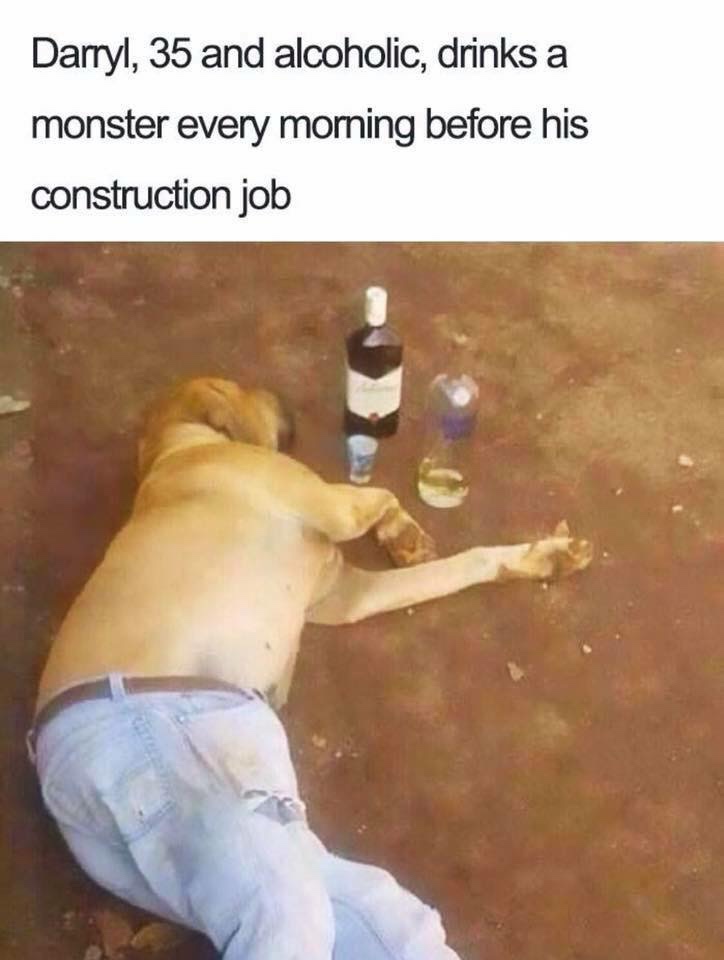 dog with pants meme - Darryl, 35 and alcoholic, drinks a monster every morning before his construction job
