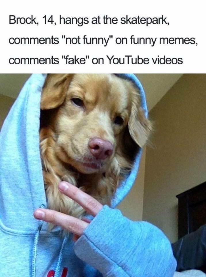 funny dog selfie - Brock, 14, hangs at the skatepark, "not funny" on funny memes, "fake" on YouTube videos