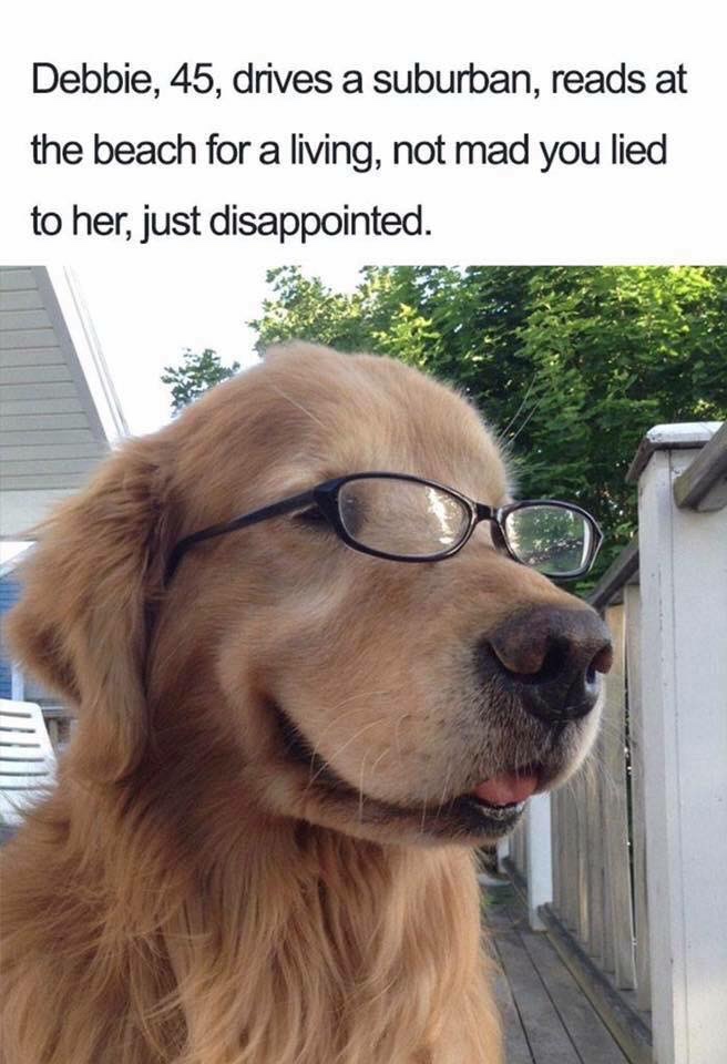 golden retriever memes - Debbie, 45, drives a suburban, reads at the beach for a living, not mad you lied to her, just disappointed.