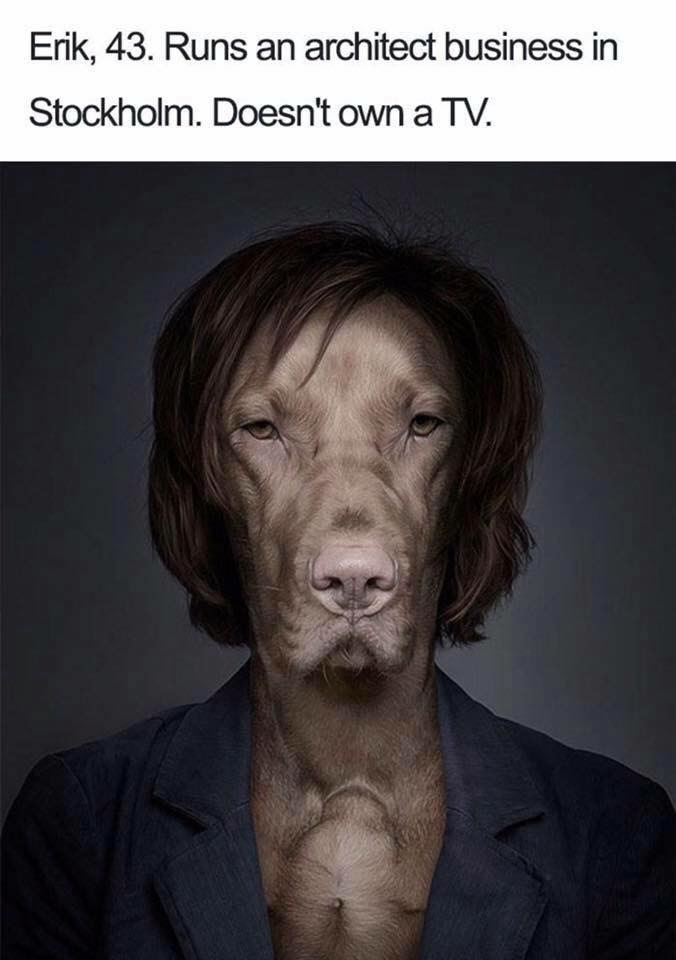 dogs dressed as humans - Erik, 43. Runs an architect business in Stockholm. Doesn't own a Tv.