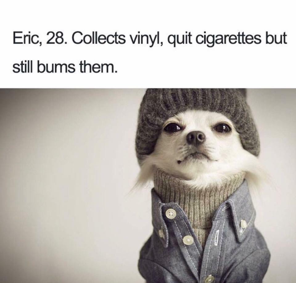 dog dressed better than me - Eric, 28. Collects vinyl, quit cigarettes but still bums them.